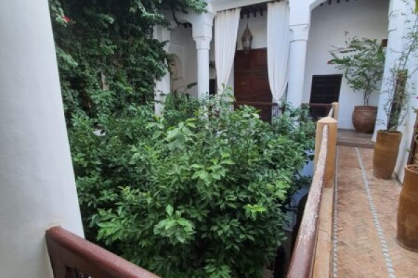 02e04d1c-3037-4a17-b4fe-732f596f011c