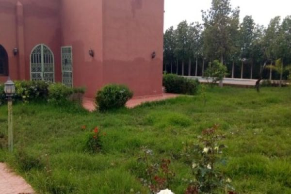 0f4aa51a-207a-4054-8cb3-a697d399e326