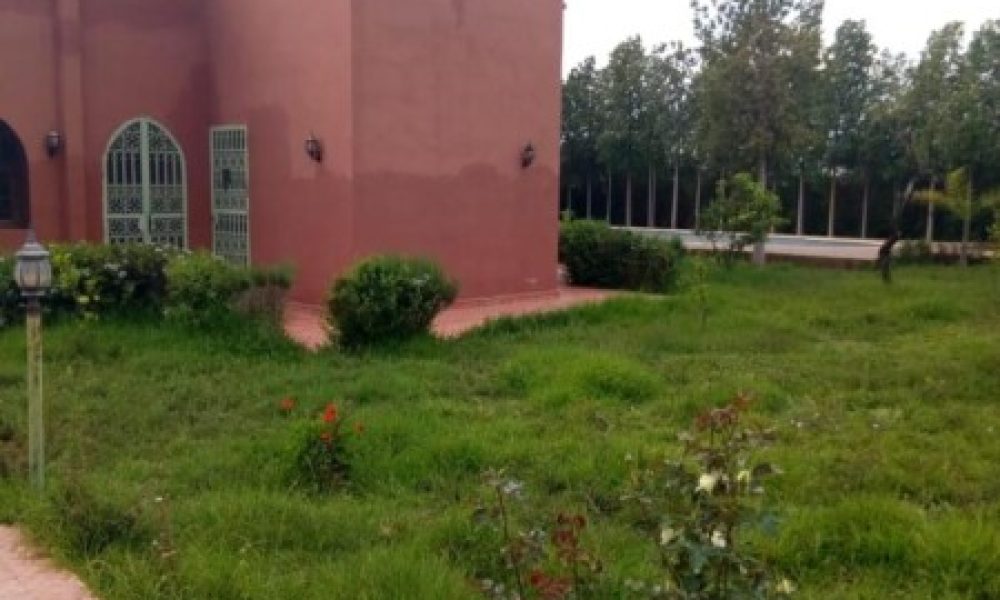 0f4aa51a-207a-4054-8cb3-a697d399e326