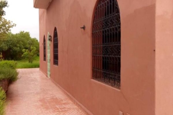 1377ff5c-f355-436c-9d99-29f0ae42618a