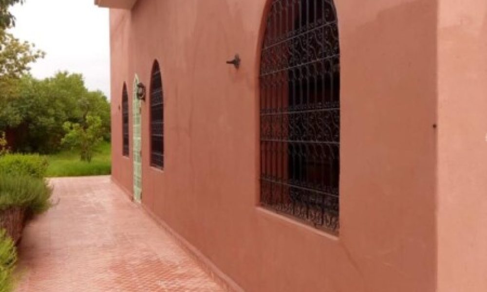 1377ff5c-f355-436c-9d99-29f0ae42618a