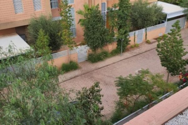 174d10e6-e523-4699-9c37-36b80efd905d