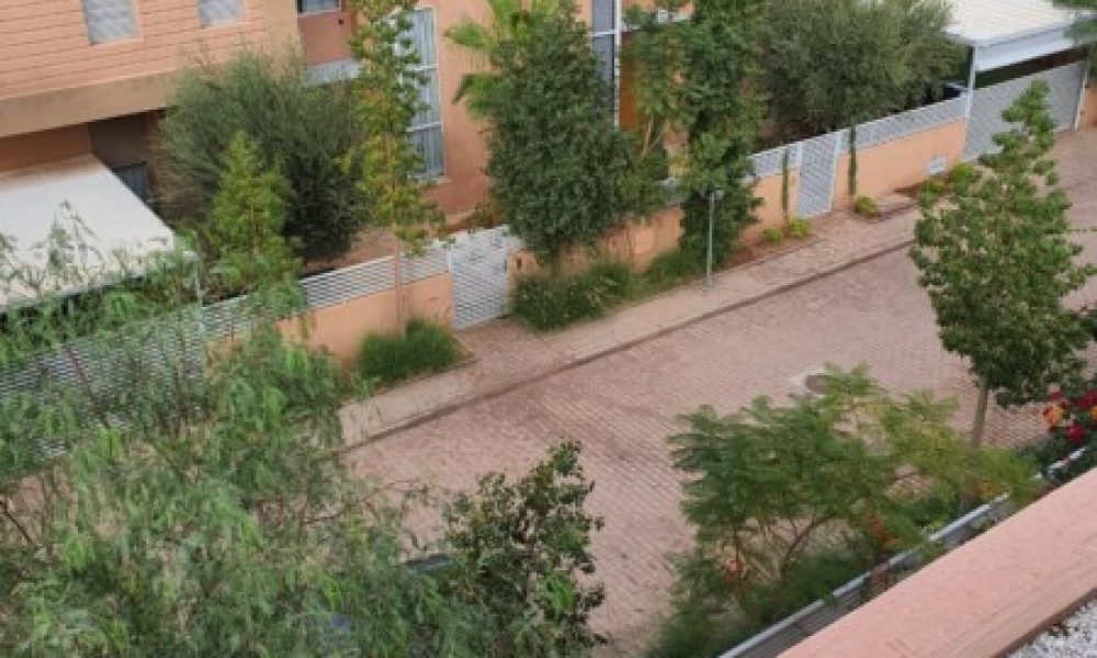 174d10e6-e523-4699-9c37-36b80efd905d