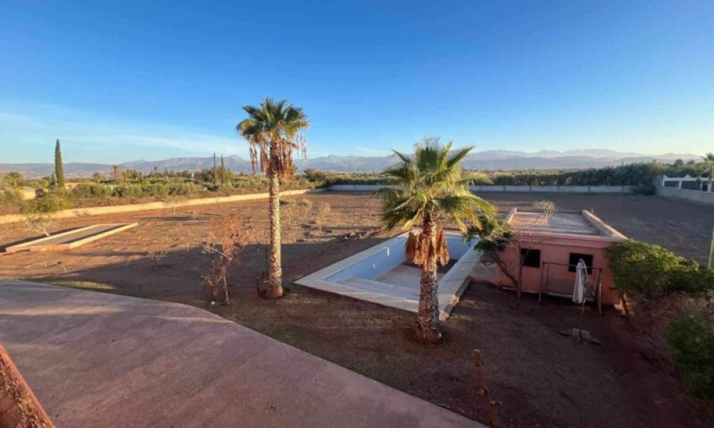 2351e19f-99ed-4c33-bcef-d5f71300540f