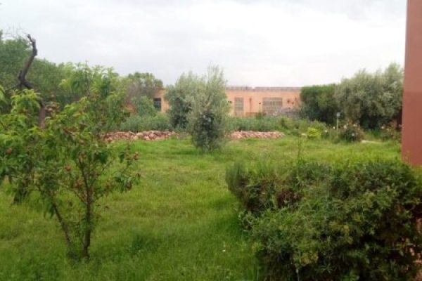 3c4b7bde-1601-41a9-8ba4-bd6710692db4