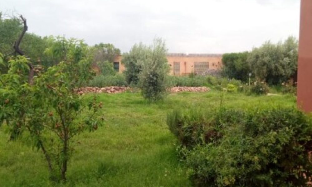 3c4b7bde-1601-41a9-8ba4-bd6710692db4