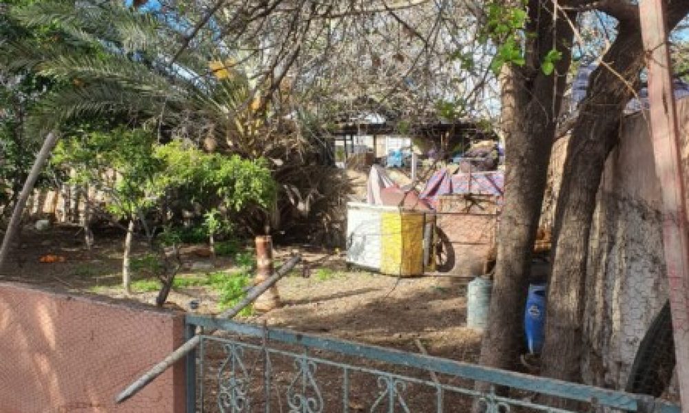 3e6f2018-9ed3-4362-9dbd-2d38fb978b70