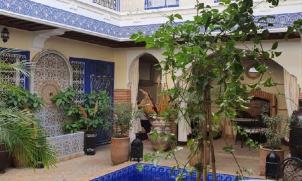 414cf658-ab90-4320-a9e6-aeabd64994b9