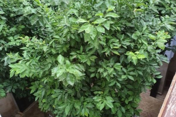 425892f3-b9c6-46d1-8f1b-a3cb80bd1c59