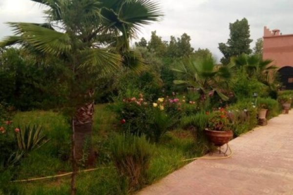 576d998b-5587-4fac-89fd-c6d374c352bc