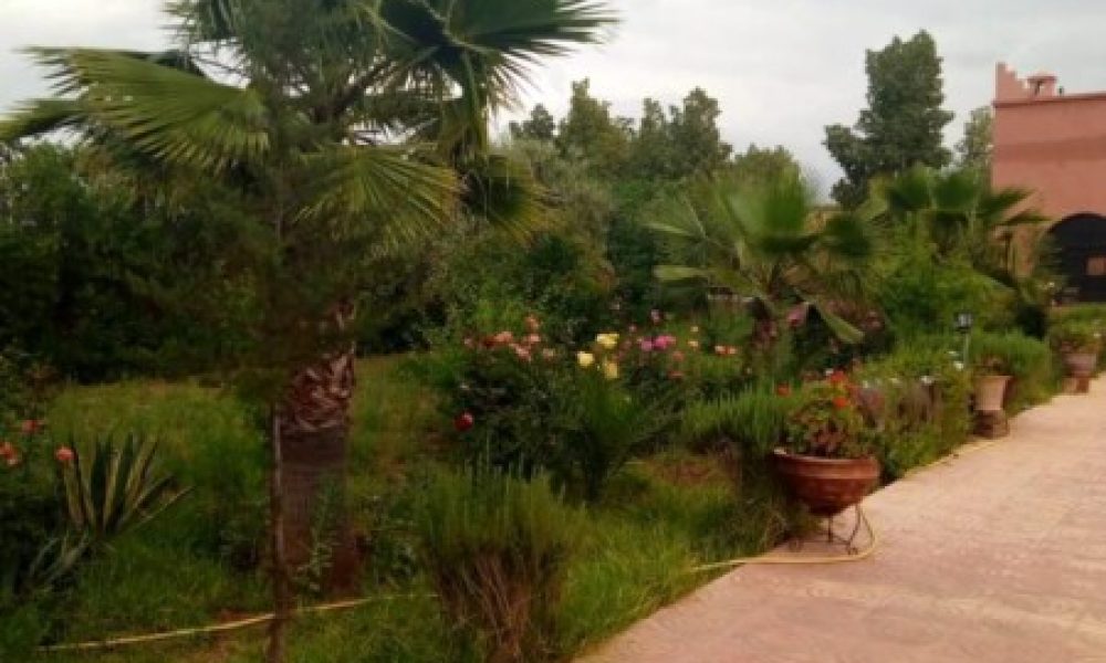 576d998b-5587-4fac-89fd-c6d374c352bc