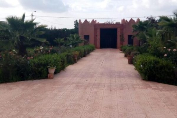 6c4dee46-af1c-415f-a2a2-dad90936f911