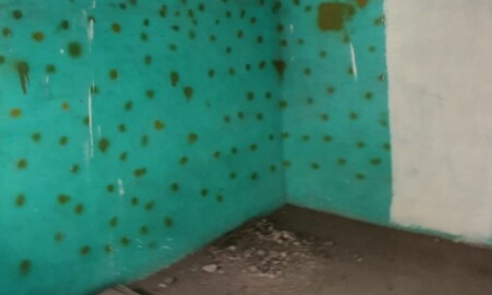 7a3f83a2-acd7-4f8f-bad8-dc6e1f40dfca