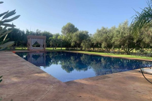 87898ad3-a2e9-4f50-b55e-a1653bccff09