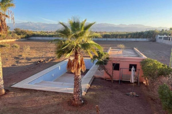 97a1f566-14da-471e-92dc-9a604308ff85