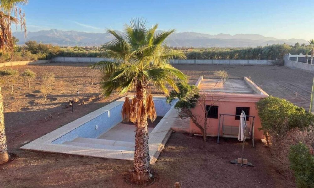 97a1f566-14da-471e-92dc-9a604308ff85