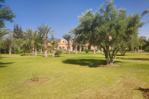 MAISON ELISABETH PALMERAIE