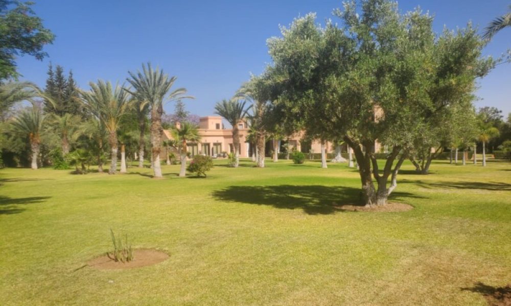 MAISON ELISABETH PALMERAIE