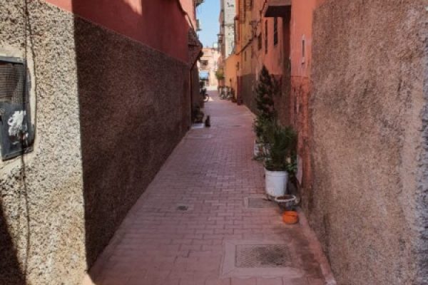 RIAD A VENDRE A BERRIMA MARRAKECH 24