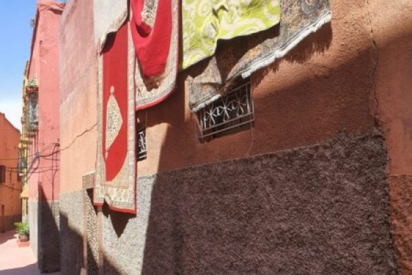 RIAD A VENDRE A BERRIMA MARRAKECH 25
