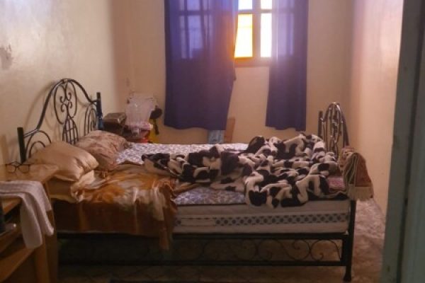 RIAD A VENDRE A BERRIMA MARRAKECH 5