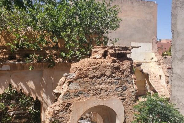 WhatsApp Image 2024-05-29 à 17.25.31_50ca