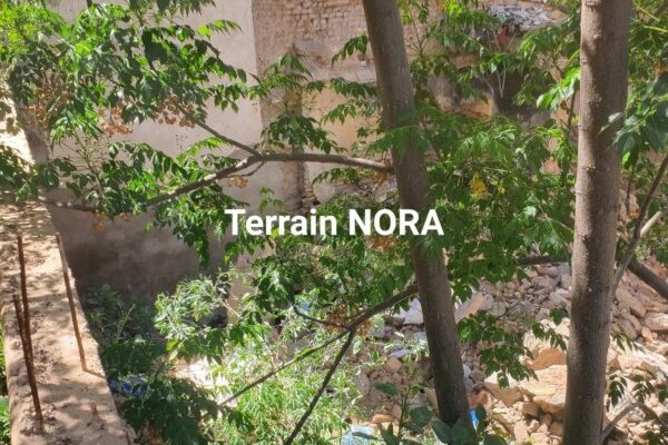 WhatsApp Image 2024-05-29 à 17.25.31_53685f4f