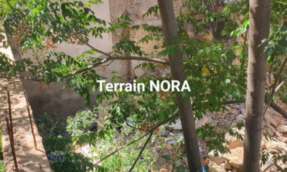 WhatsApp Image 2024-05-29 à 17.25.31_53685f4f