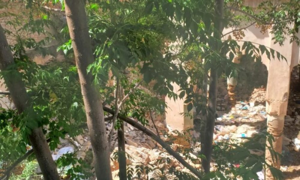 WhatsApp Image 2024-05-29 à 17.25.31_a536b74f