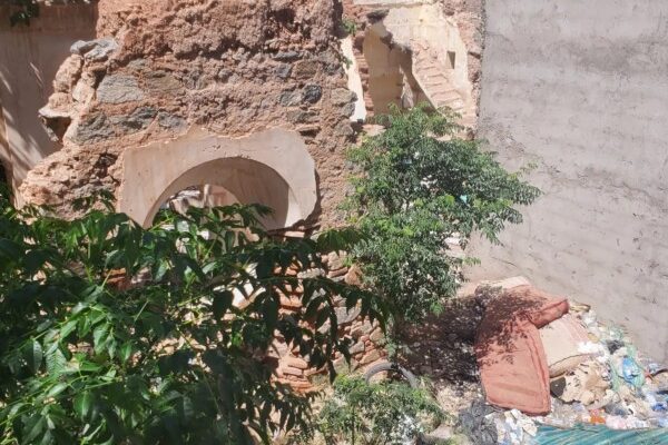 WhatsApp Image 2024-05-29 à 17.25.32_793e2cae