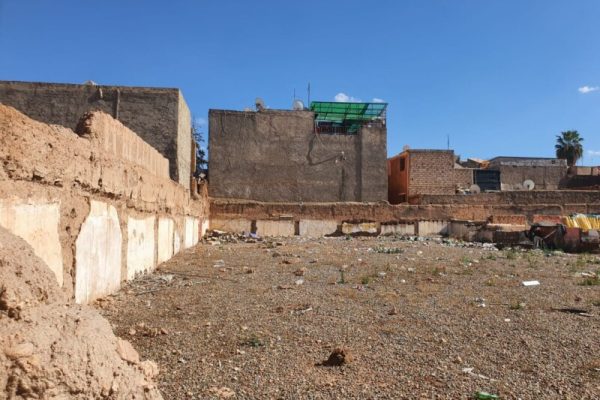 WhatsApp Image 2025-03-07 à 16.16.14_87a802ec