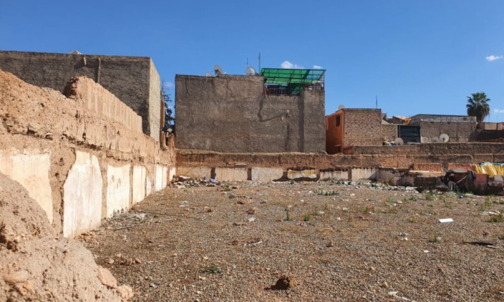 WhatsApp Image 2025-03-07 à 16.16.14_87a802ec