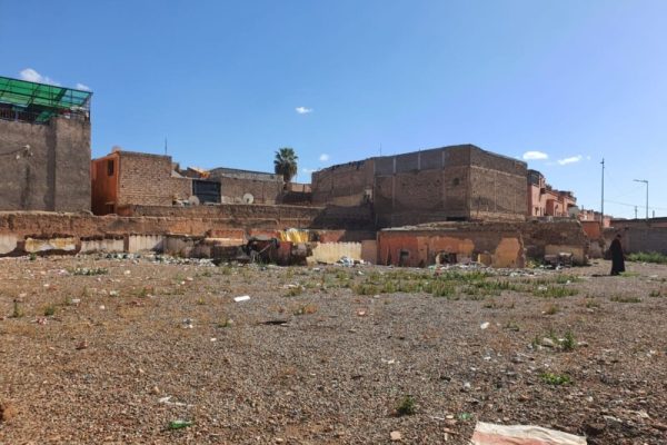 WhatsApp Image 2025-03-07 à 16.16.14_ee9c0630