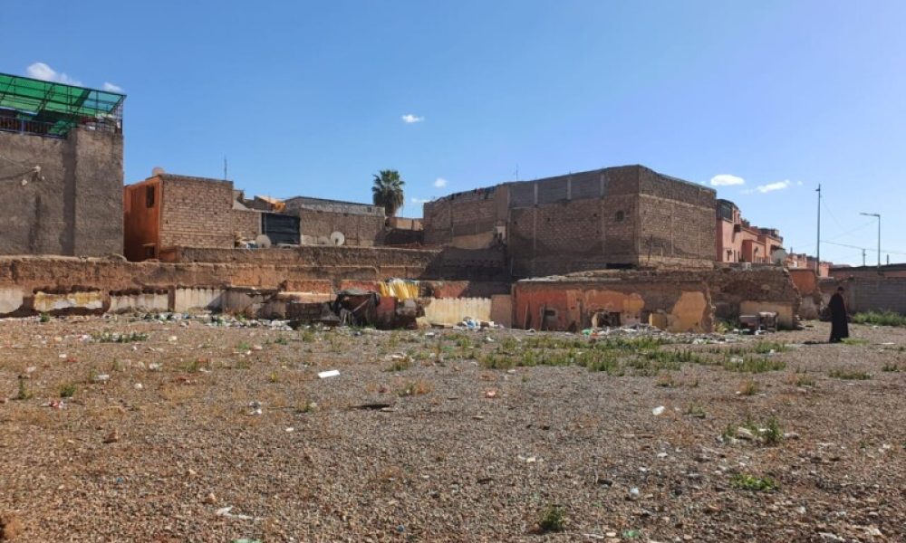 WhatsApp Image 2025-03-07 à 16.16.14_ee9c0630