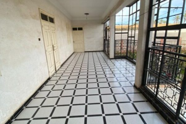 WhatsApp Image 2025-03-07 à 16.16.36_93668826