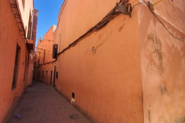 WhatsApp Image 2025-03-26 à 13.38.22_7cad1050