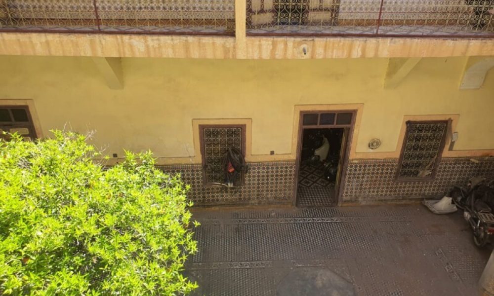 WhatsApp Image 2025-03-26 à 14.12.07_aa83ab4d