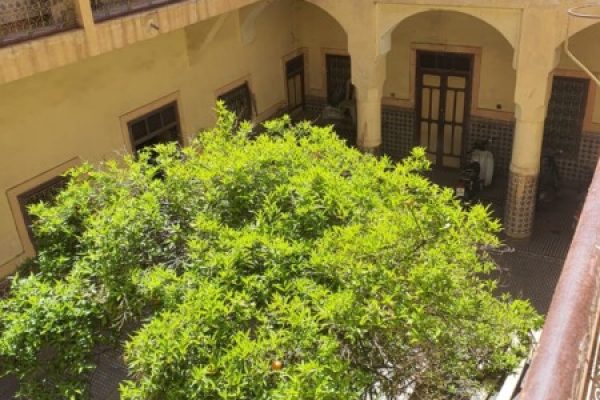 WhatsApp Image 2025-03-26 à 14.12.08_d669234e