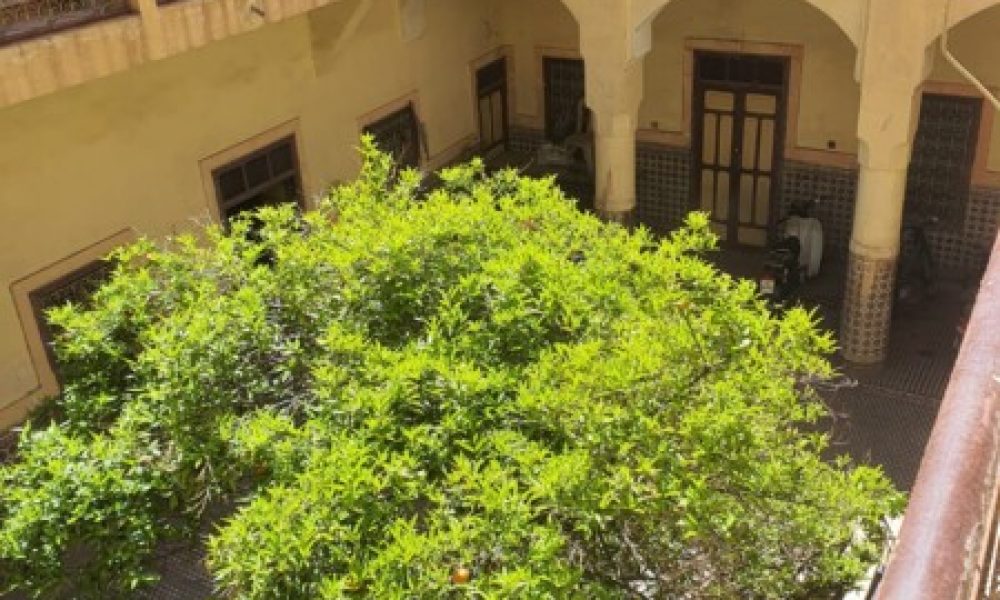 WhatsApp Image 2025-03-26 à 14.12.08_d669234e