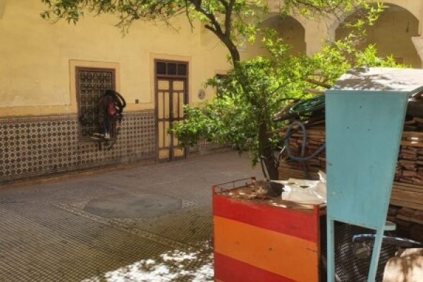 WhatsApp Image 2025-03-26 à 14.12.09_5913cedf