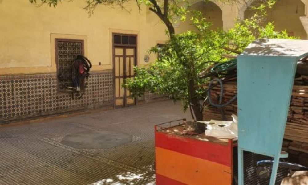 WhatsApp Image 2025-03-26 à 14.12.09_5913cedf