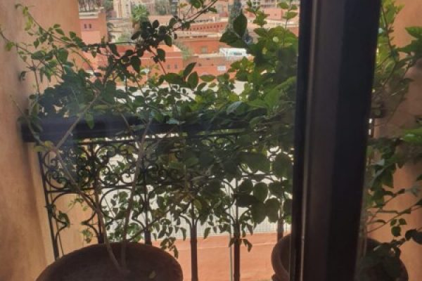 WhatsApp Image 2025-03-28 à 12.22.20_d5d9ca78