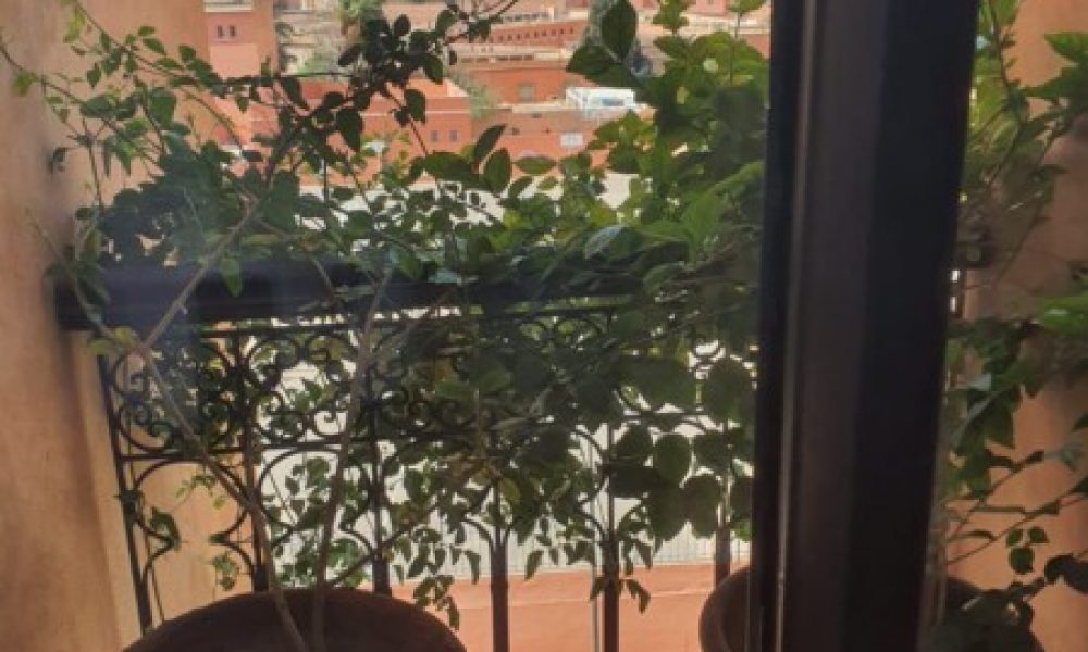 WhatsApp Image 2025-03-28 à 12.22.20_d5d9ca78