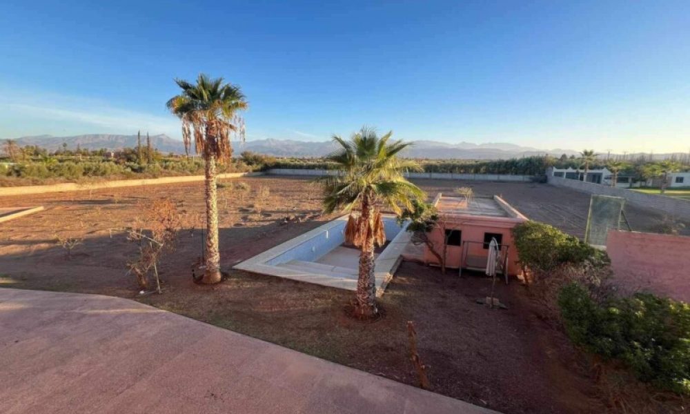 aeb79420-07d2-4413-9aaf-ddaa91d01fae