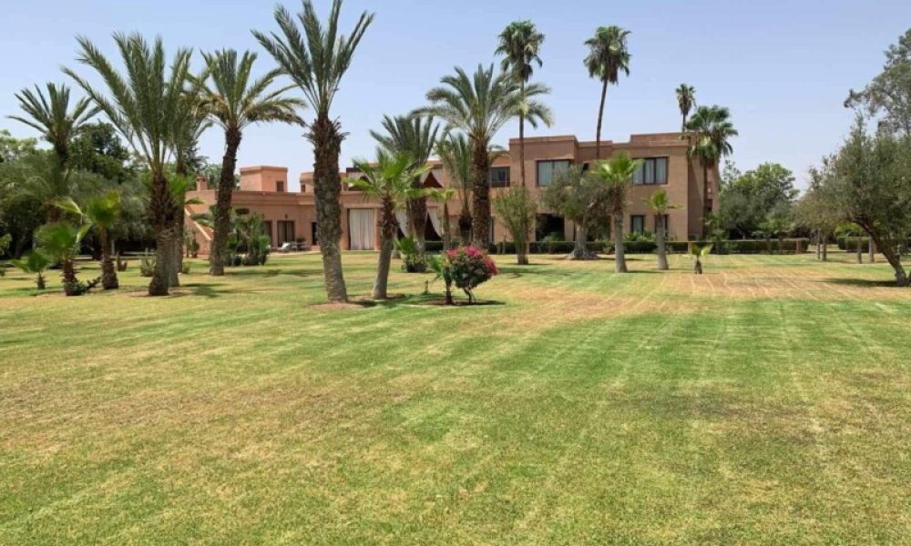 af85e29c-7434-4f85-8462-085891a841c2