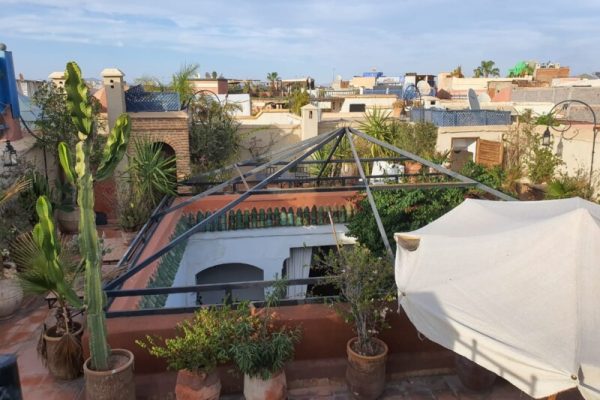 cd62a784-b3c3-4fa5-a7c7-81baeeff7703