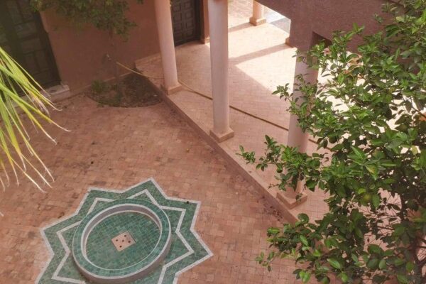 d2667853-c08d-4743-a252-d64fe4559f2c