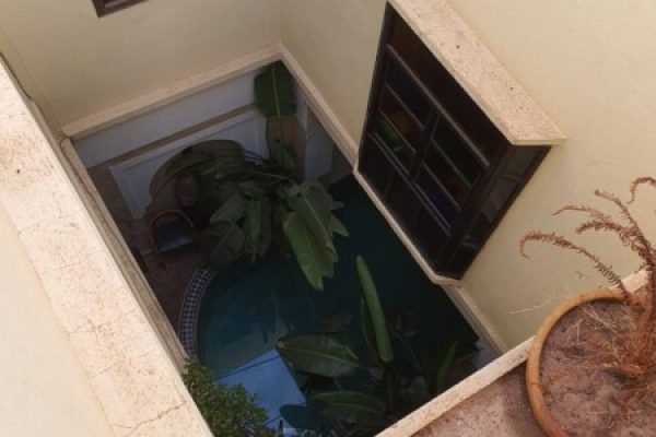 d8c13314-338d-4e18-aa91-3ea1238a86b9