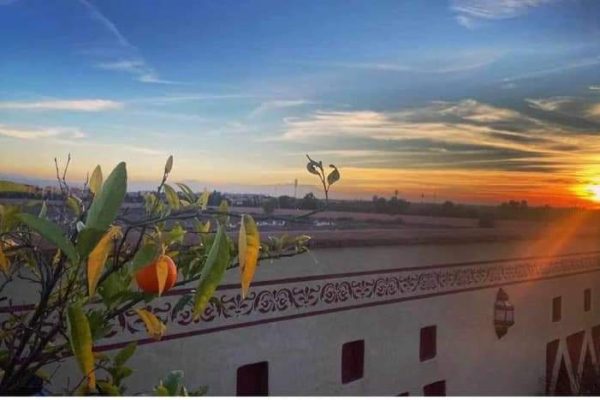 e56aff98-d83a-491a-b50a-9b72bc40c81a