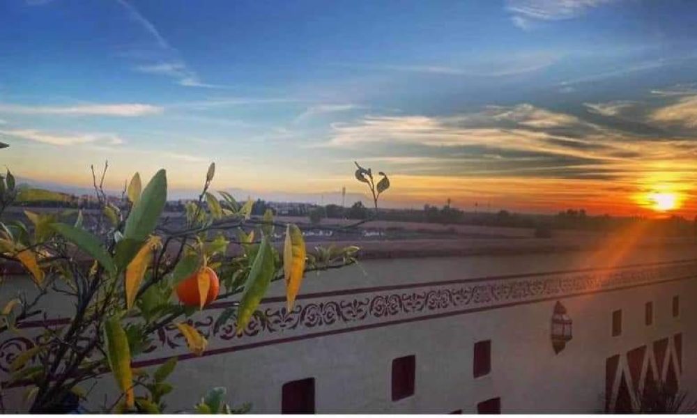 e56aff98-d83a-491a-b50a-9b72bc40c81a